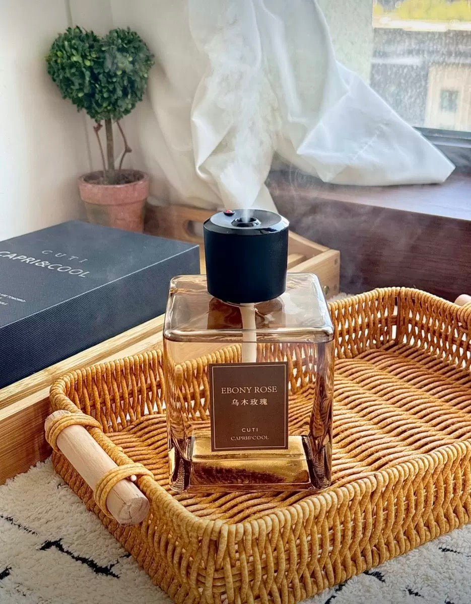 AIR DIFFUSER - DeDiAl E - Commerce