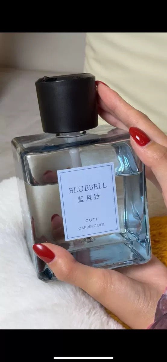 AIR DIFFUSER - DeDiAl E - Commerce